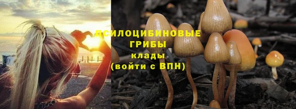 крисы Беломорск