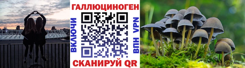 Псилоцибиновые грибы прущие грибы  мега ССЫЛКА  Уссурийск  что такое наркотик 